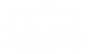 white_logo_brandon
